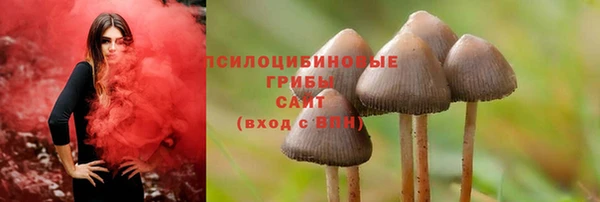 стаф Абинск