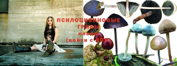 эйфоретик Абаза