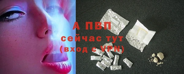 стаф Абинск