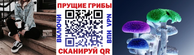 Галлюциногенные грибы Magic Shrooms  магазин продажи наркотиков  кракен сайт  Ливны 