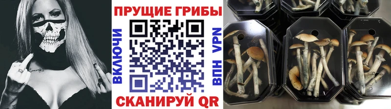 Псилоцибиновые грибы MAGIC MUSHROOMS Ливны